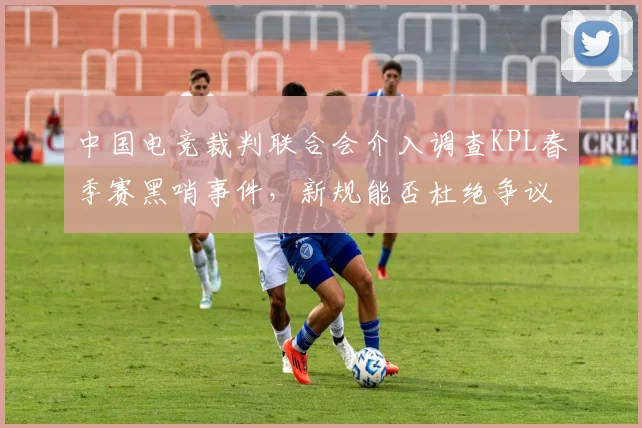 中国电竞裁判联合会介入调查KPL春季赛黑哨事件，新规能否杜绝争议？